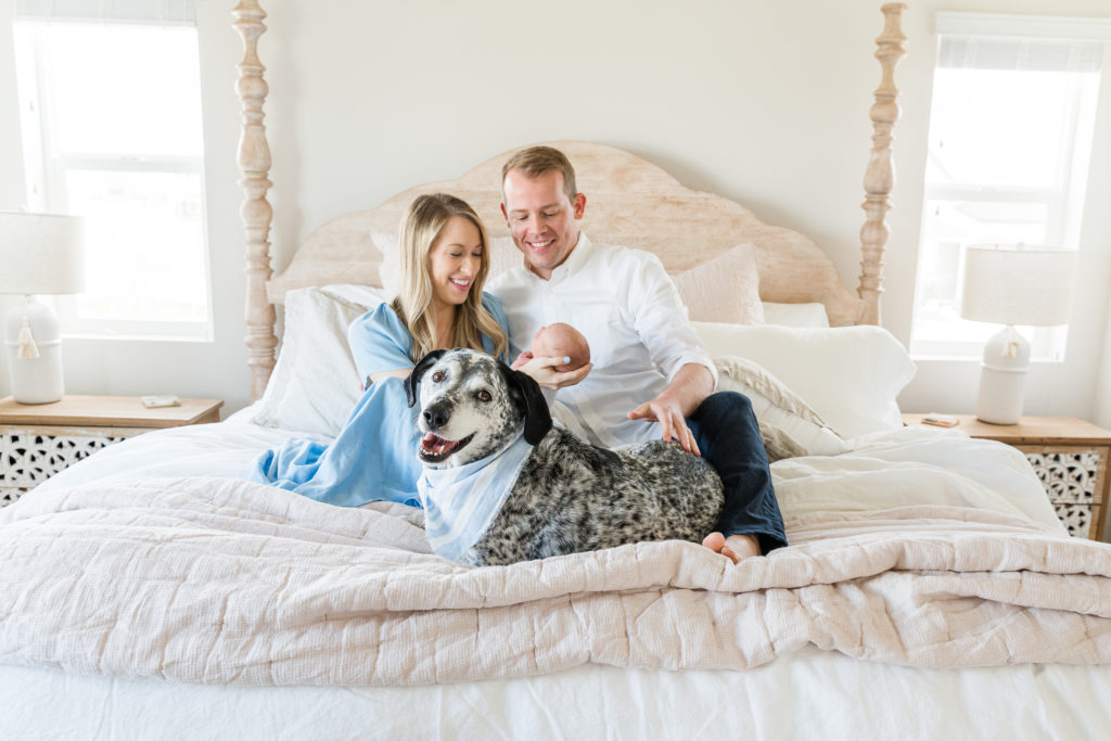 Light and airy newborn boy portrait master bedroom with dog