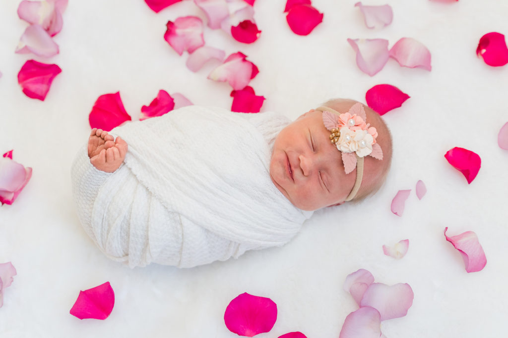 Colorado Lifestyle Newborn Photos Light and Airy Elena Spraguer Photography Rose Petals