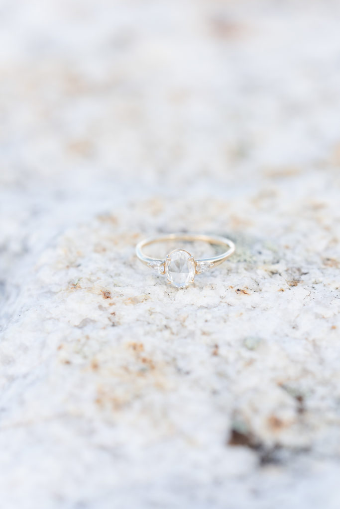 Elk Meadow Evergreen Colorado Engagement Pictures Ring Shot